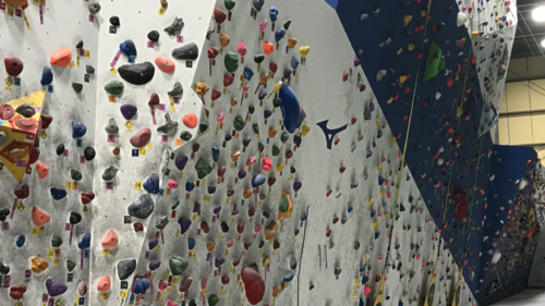 兵庫県のクライミング施設「ミズノスポーツプラザ 神戸和田岬」